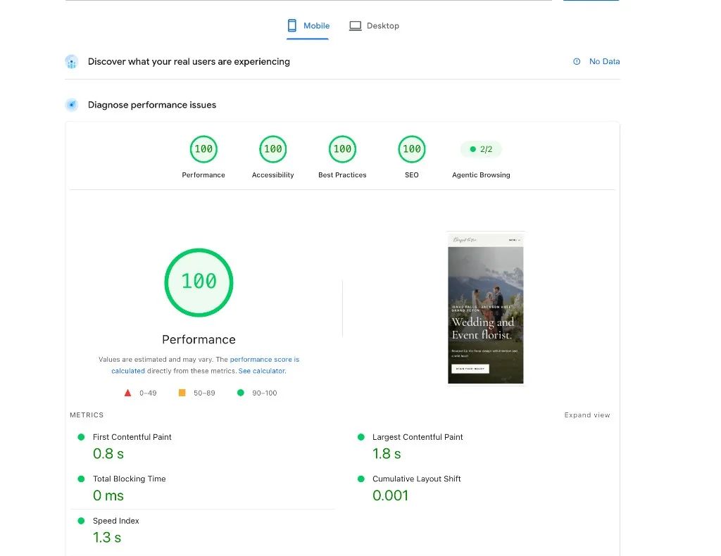 Bouquet La Vie mobile PageSpeed Insights. Performance, Accessibility, Best Practices, and SEO all score 100.