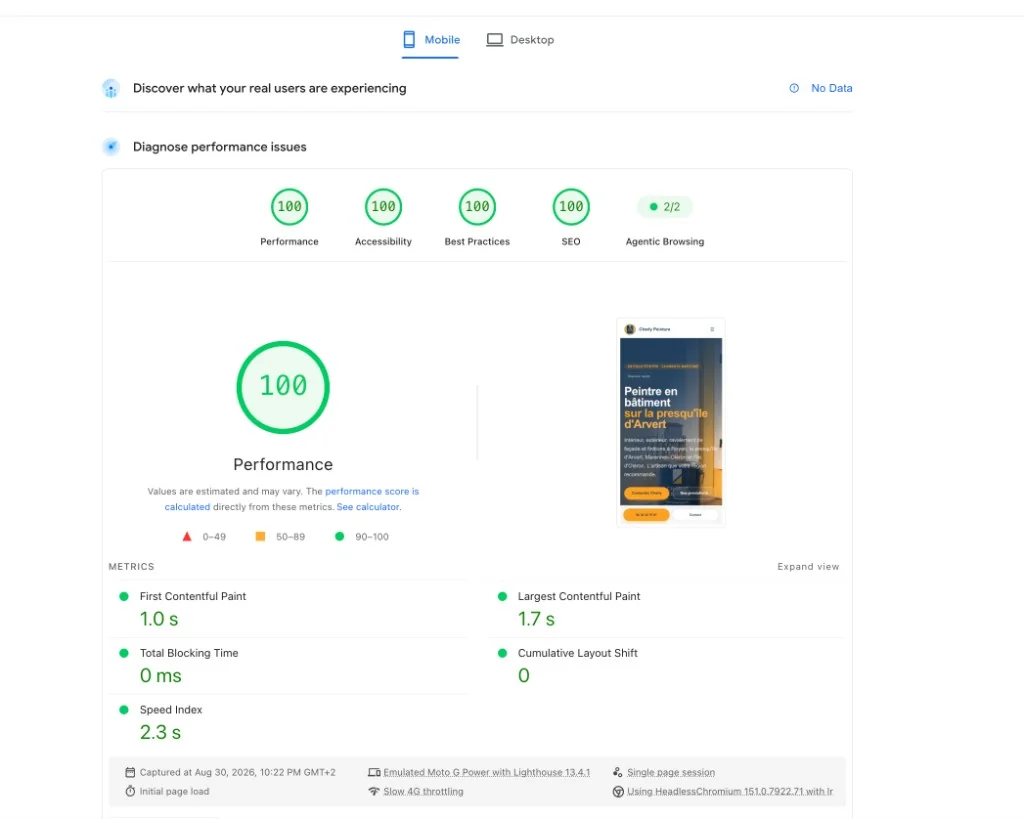 Charly Peinture mobile PageSpeed Insights. Performance, Accessibility, Best Practices, and SEO all score 100.